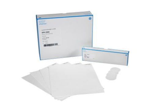 Picture of EPM 2000 Air Sampling Filters, 8 × 10 in sheet (100 pcs) 1882-866