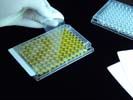 SealPlate Sealing Films for ELISA and General Incubation, Polyester, 50µm Thick, Non-Pierceable, Sterile STR-SEAL-PLT