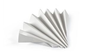 Picture of Grade 595 ½ Qualitative Filter Paper Folded (Prepleated), 70 mm 10311641