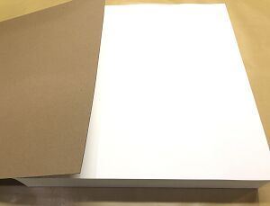 597 Plus 45MM 100/PK  Whatman Grade 597 Plus Qualitative Filter Papers 989410101