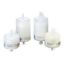 Picture of Polycap TF 36 Capsule Filter, 0.2 µm, with FNPT inlet and outlet (5 pcs) 2601T