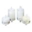 Picture of Polycap TF 75, 0.2 µm, with MNPT inlet and outlet (5 pcs) 2702M