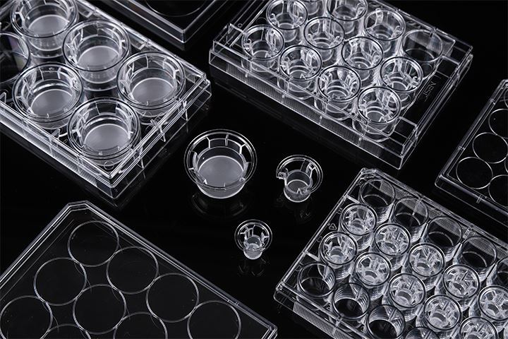 6 Cell Culture Inserts+6 Well Plate, 3 μm, PET Memberane, TC, Sterile, 6/pk, 24/cs 723021