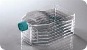 Picture of 5-Layer Cell Culture Flask, Vent Cap,  Straight Neck, TC, Sterile, 1/pk, 8/cs 731002