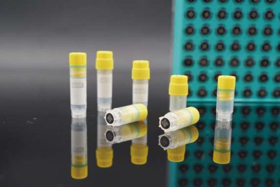 Picture of 2D Barcode 3.0 mL Cryogenic Vial, Self-Standing, External Thread, Sterile, 9*9/rack, 624053