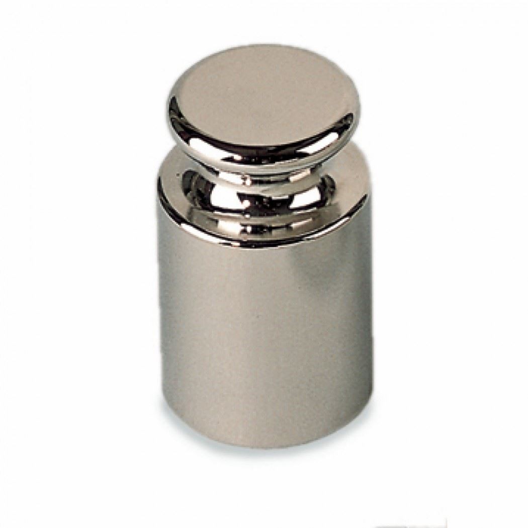Class M1 Weight of 100 g  for XS Balances 27000813