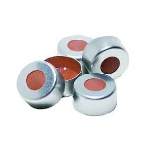 Picture of 11mm Silver Seal , PTFE/Natural Red Rubber Lined 5140-11X(100)