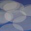 Picture of SUPPORT DISCS FOR BUCHNER HDPE 70 mm KAR837