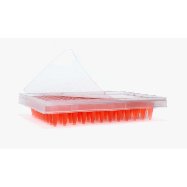 eXTReme Sealing Film for PCR and Cold Storage, 2mL Polyester, Large Cut, For Raised Rim and Flat Top Plates, XTR-LG-100