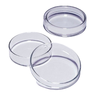 Picture of 100mm Glass Petri Dish MS 44PDG