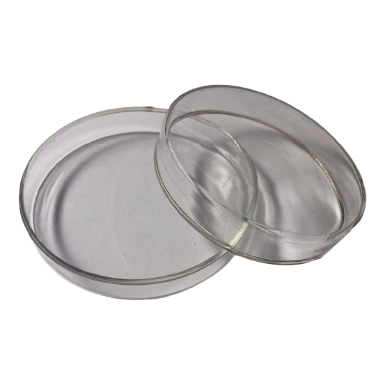 Glass petri dish 100mm PD-100 1177-A