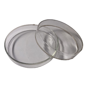 Picture of Glass petri dish 100mm PD-100 1177-A