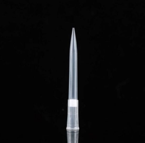 Picture of 200 μl Filter universal Pipette Tips, Clear, Bulk, Non-Sterile, 1000/pk 312001