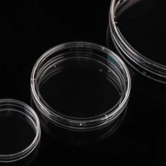 Picture of 100 mm Cell Culture Dish, TC, Sterile, 5/pk, 300/cs 704004