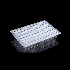 Picture of 0.2 mL 96 Well PCR Plate, No Skirt, Clear, H1 Notch, 5/bag, 25/pk 402001