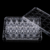 Picture of 12 Cell Culture Inserts+24 Well Plate, 0.4 μm, PC Memberane, Non-Treated, Sterile, 12/pk, 48/cs 725111