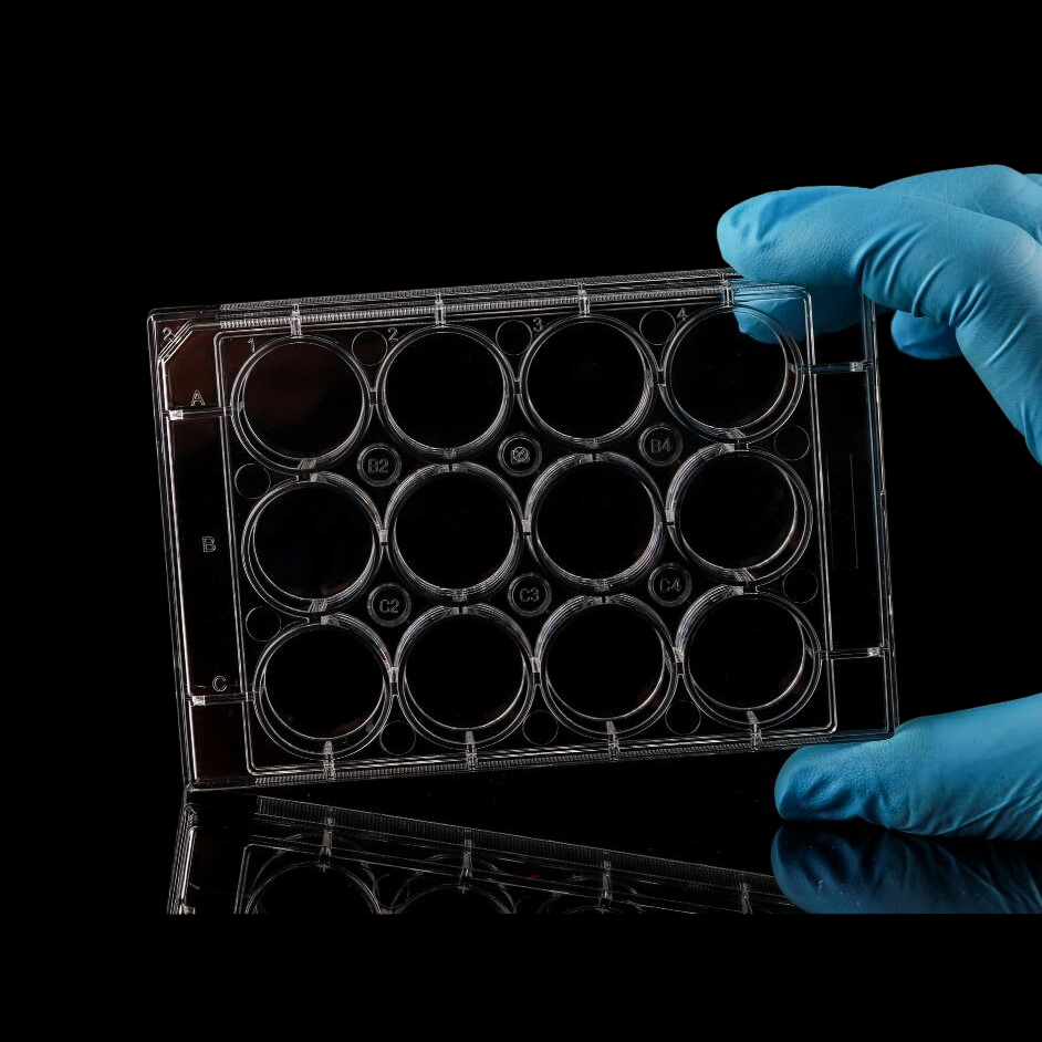 12 Well Cell Culture Plate, Flat, Non-Treated, Sterile, 1/pk, 50/cs 712011