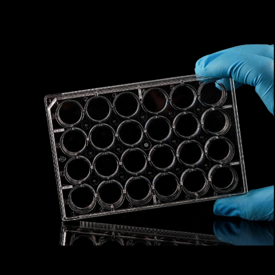 Picture of 24 Well Cell Culture Plate, Flat, Non-treated, Sterile, 10/pk, 50/cs 702012