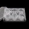 Picture of 6 Cell Culture Inserts+6 Well Plate, 0.4 μm, PC Memberane, Non-Treated, Sterile, 6/pk, 24/cs 723111