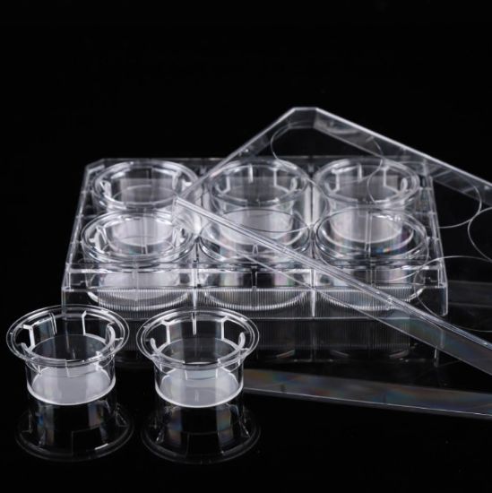 Picture of 6 Cell Culture Inserts+6 Well Plate, 3 μm, PC Memberane, Non-Treated, Sterile, 6/pk, 24/cs 723011