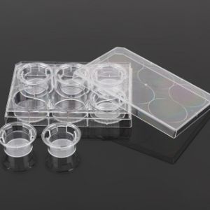 Picture of 6 Cell Culture Inserts+6 Well Plate, 0.4 μm, PET Memberane, Non-Treated, Sterile, 6/pk, 24/cs 723131