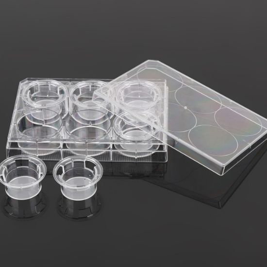 Picture of 6 Cell Culture Inserts+6 Well Plate, 1 μm, PET Memberane, TC, Sterile, 6/pk, 24/cs, 723421