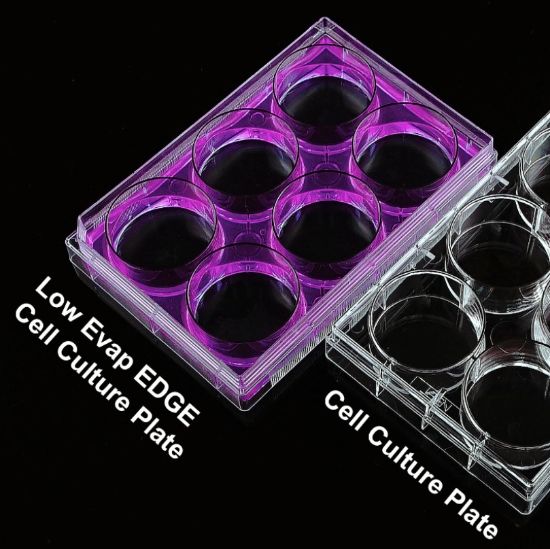 Picture of 6 Well EDGE Cell Culture Plate, Flat, Non-Treated, Sterile, 1/pk, 50/cs 714001