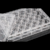 Picture of 24 Well Glass Bottom Cell Culture Plate, 10 mm, TC, Sterile, 1/pk, 10/cs 801006