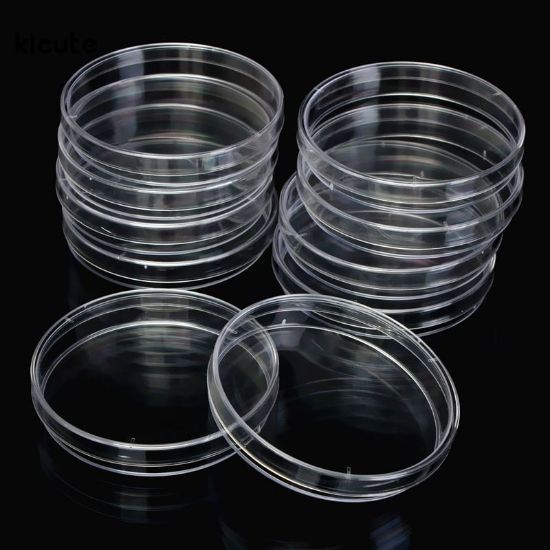 Picture of 90mm Petri Dish Gamma Sterile 500/pk 752204