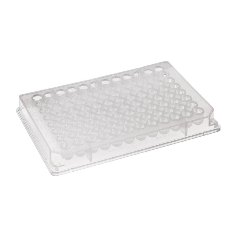 Riplate® 96 well plate PP, U-bottom, 300 µl/well, CASE 64, BAKR43001-0600
