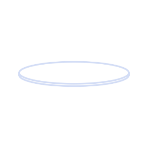 Picture of Septa N 9, PTFE, White, 0.25 mm, 53° shore D  702043
